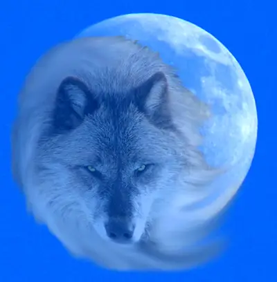 This month January is deemed the Wolf Moon or Cold Moon by various tribes 