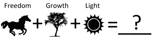 PictographForSymbolicMeanings