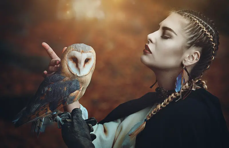 Owl meaning owl totem The Blog for by Avia Symbolic Meanings Blog by