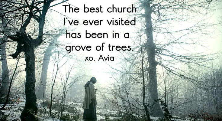Tree wisdom tree worship